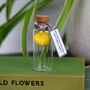 Tiny Buttercup In A Bottle Personalised Gift, thumbnail 2 of 12
