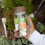 Personalised Plant Fund Glass Storage Jar, thumbnail 1 of 9