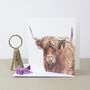 Highland Cow Blank Greetings Card, thumbnail 1 of 2