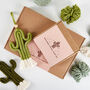 Make Your Own Mini Macrame Cactus Craft Kit, thumbnail 6 of 12