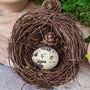 Decorative Twig Bird Nest, thumbnail 3 of 6