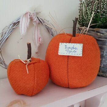 Pure Wool Autumn Pumpkin Decoration, 2 of 6