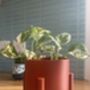 3D Printed Four Leg Plant Pot – Lightweight And Durable, thumbnail 5 of 9