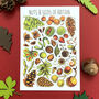 Nuts And Seeds Of Britain Postcard, thumbnail 1 of 8