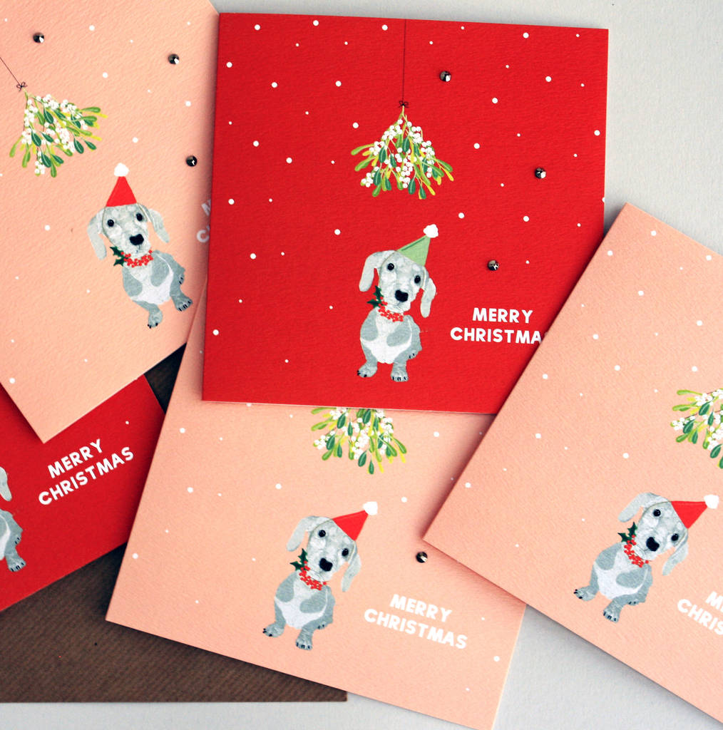 'sausage dog' christmas card pack of five or single by lottie simpson