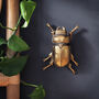 Gold Beetle Wall Ornaments, thumbnail 10 of 10