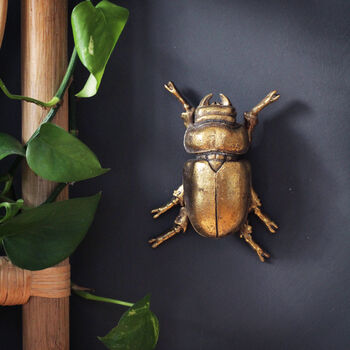 Gold Beetle Wall Ornaments, 10 of 10