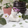 Boat Yoga Pose Mini Indoor Air Planter With Gift Box, thumbnail 1 of 5