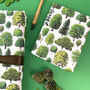 Trees Of Britain Wrapping Paper Set, thumbnail 7 of 10
