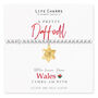 With Love From Wales Gift, Daffodil Bracelet Gift, thumbnail 1 of 3