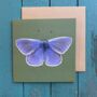 Common Blue Illustrated Butterfly Blank Card, thumbnail 1 of 2