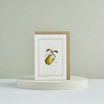 Botanist Archive Pear Christmas Card, 3 of 4