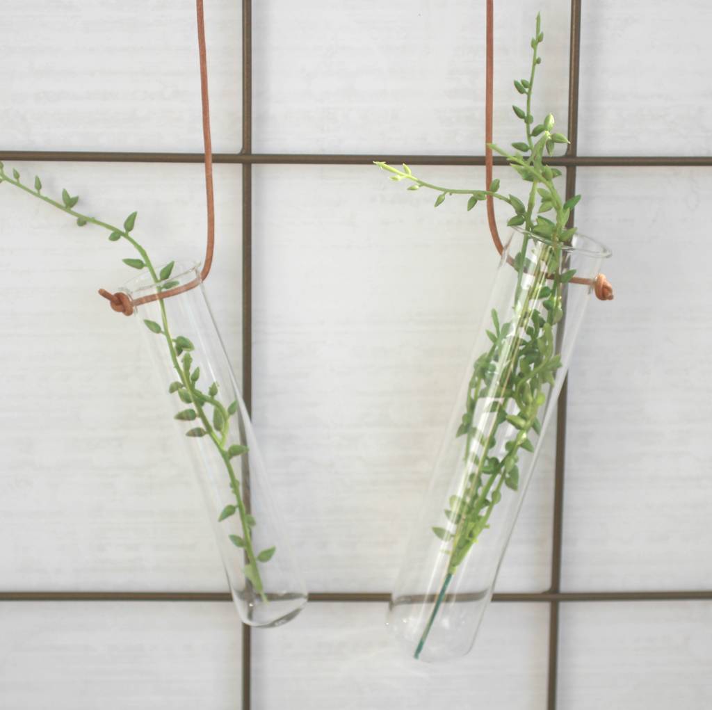 Glass Test Tube Bud Vases By Posh Totty Designs Interiors