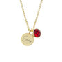Personalised Gold Plated Birth Crystal Disc Necklace, thumbnail 6 of 12