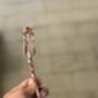 Luggage Tag, thumbnail 2 of 4
