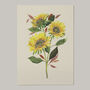 Sunflower Art Print, thumbnail 2 of 3