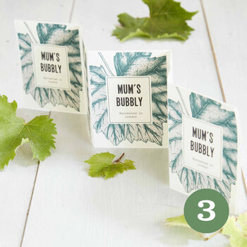 Grow Your Own Prosecco Style Sparkling Wine Gift Crate, 5 of 11