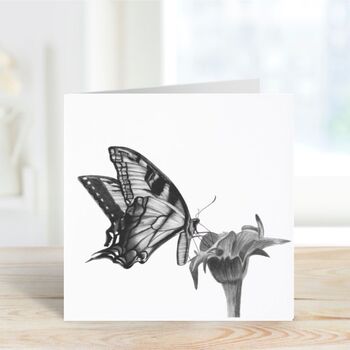 Antares Butterfly Blank Nature Greeting Card, 6 of 6