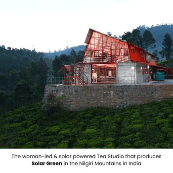 Moments With Tea Artisan Tea Collection, 8 of 9