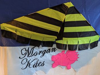 Delta Kite The Bumble Bee By Morgan Kites, 2 of 9