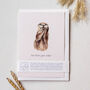 Cute 'An Otter Year Older' Give Back Birthday Card, thumbnail 1 of 3
