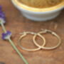 Nine Carat Gold Polo Earrings, thumbnail 7 of 7