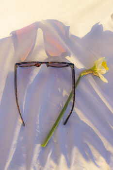 Classic Tortoise Shell Triangular Cut Block Sunglasses, 5 of 8