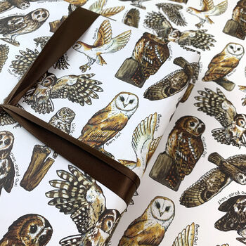 Owls Of Britain Wrapping Paper Set, 2 of 8