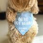 Oh No Not Again Pregnancy Annoucement Dog Bandana, thumbnail 3 of 6