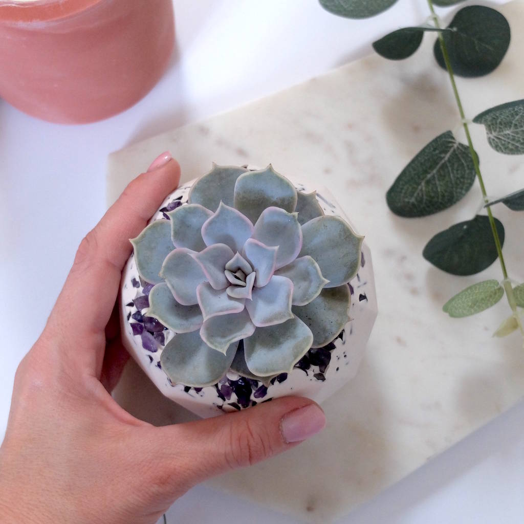 amethyst crystal and eco resin geometric plant pot by badger and birch