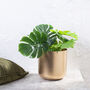 Golden Hanging Planters Set Of Two, thumbnail 2 of 10