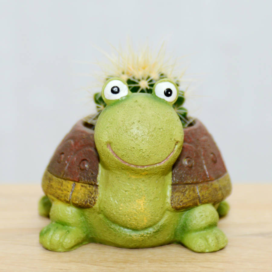 Turtle Planter With A Plant By Dinga Ding Terrariums
