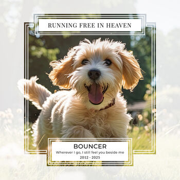 Personalised Pet Loss Dog Memorial Photo Slate, 3 of 6