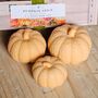 Pumpkin Spice 3pc Pumpkin Soap Bar Set, thumbnail 1 of 2