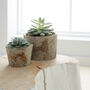 Revitalise Concrete And Recycled Paper Plant Pot, thumbnail 1 of 3