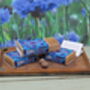 Set Of Three Seedball Wildflower Cornflower Seed Boxes For An Bee Friendly Christmas, thumbnail 2 of 10