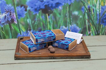 Set Of Three Seedball Wildflower Cornflower Seed Boxes For An Bee Friendly Christmas, 2 of 10