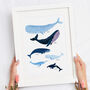 Personalised Whale Family Art Print Unframed, thumbnail 1 of 10