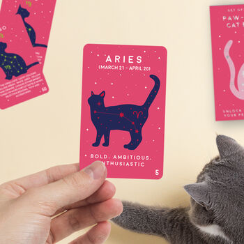 Zodiac Cards: Paw Mistry Cat Edition, 3 of 3
