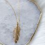 Gold Plated Feather Necklace Gift For Her, thumbnail 2 of 6