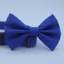 Bright Blue Dog Bow Tie, thumbnail 1 of 7