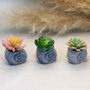 Faux Succulent In Handmade Ammonite Shell Pots, thumbnail 1 of 9