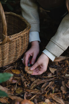 Foraging Experience Walk For Two In The South Downs, 3 of 12