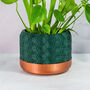 Forest Hexa Planter, thumbnail 1 of 4