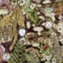 The Prehistoric Eden Serving Tray In Burgandy Featuring Extinct Wildlife By House Of Norris, thumbnail 3 of 3
