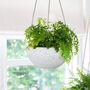Pack Of Two Speckled White Hanging Planters, thumbnail 4 of 6