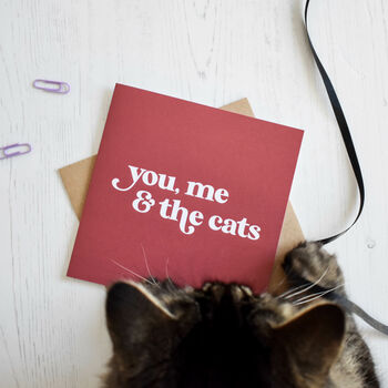 You Me And The Cat Card, 2 of 4