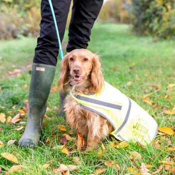 Personalised Reflective Dog Safety Coat / Vest / Jacket, 8 of 12