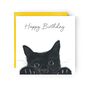 Peek A Boo Cat Happy Birthday Card, thumbnail 1 of 4
