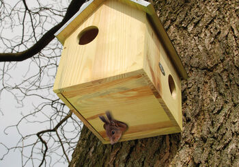 Wooden Squirrel House And Nesting Box With Zinc Roof Gift, 4 of 4